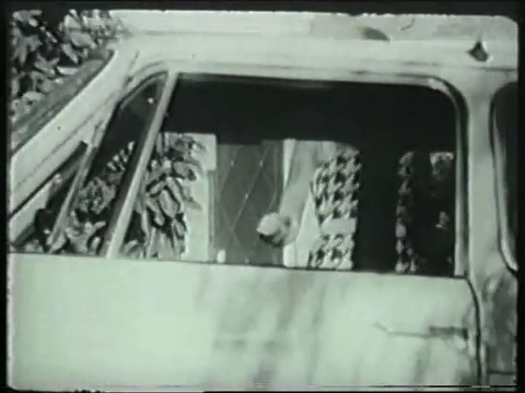 Scamp AUS TV Com.mp4